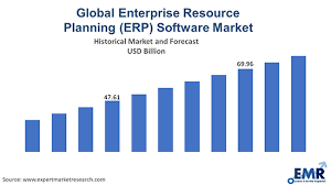 Unlocking Success: Maximizing Efficiency and Growth with Enterprise Resource Planning (ERP) Systems