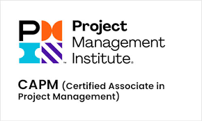 certified associate in project management