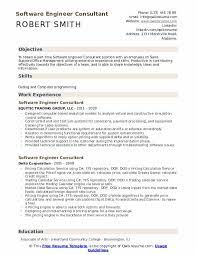 software engineer consultant