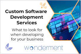 custom application development services