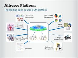 alfresco document management system