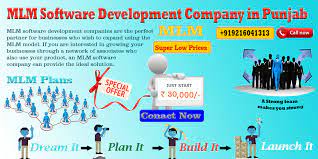 mlm software development company