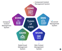 Enhancing Efficiency with Document Content Management Software