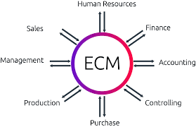 enterprise content management platform