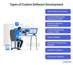 develop custom software