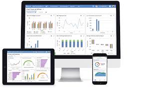 Maximizing Efficiency and Growth with Enterprise Resource Planning Software