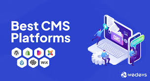 best cms software